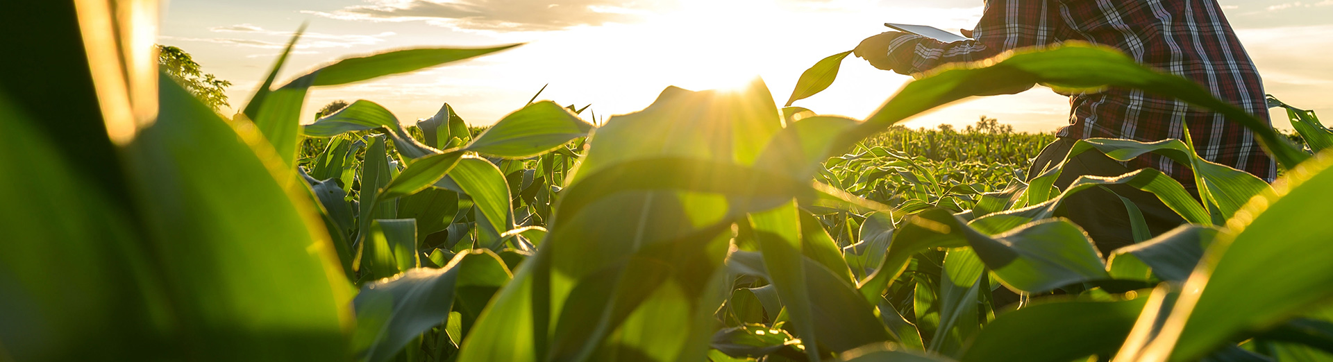 Banner representing Leap201's mission to empower vulnerable households across Singapore and Southeast Asia to break free from the poverty cycle.