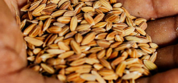 Leap201 2018–2020 — energy and water sector expansion and Leap4MigrantWorkers programme launch in Singapore