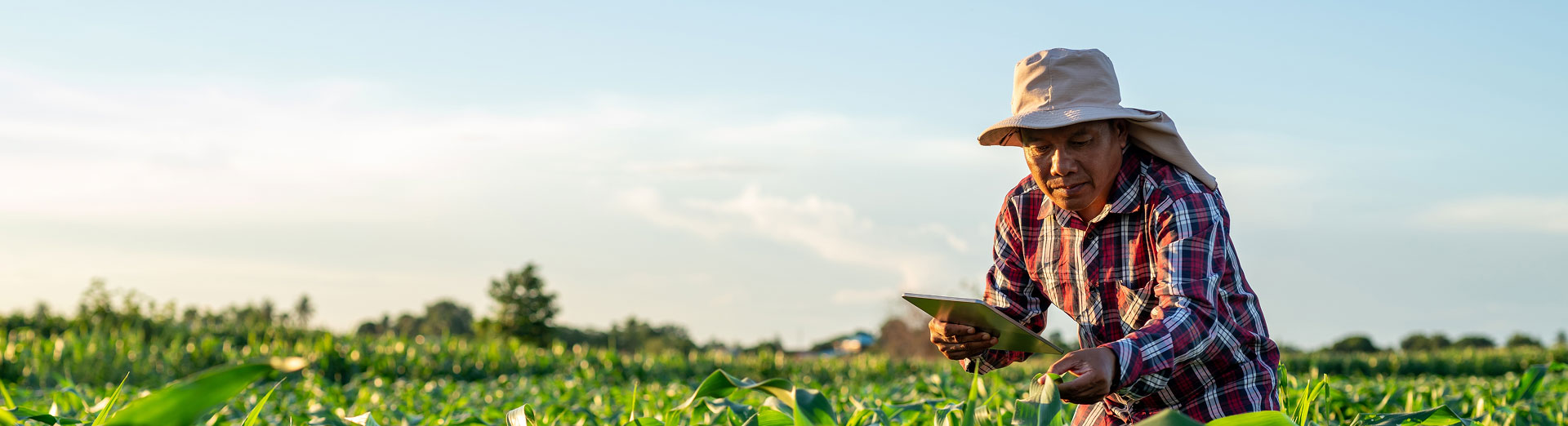 Leap201 Southeast Asia Social Loan Programme — venture philanthropy and impact investing in Cambodia, Myanmar and Indonesia